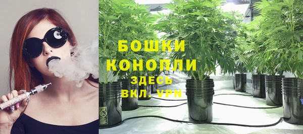 спиды Арсеньев