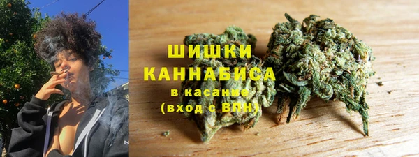 Альфа ПВП Аркадак